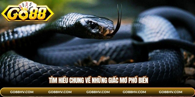Tìm hiểu chung về những giấc mơ phổ biến
