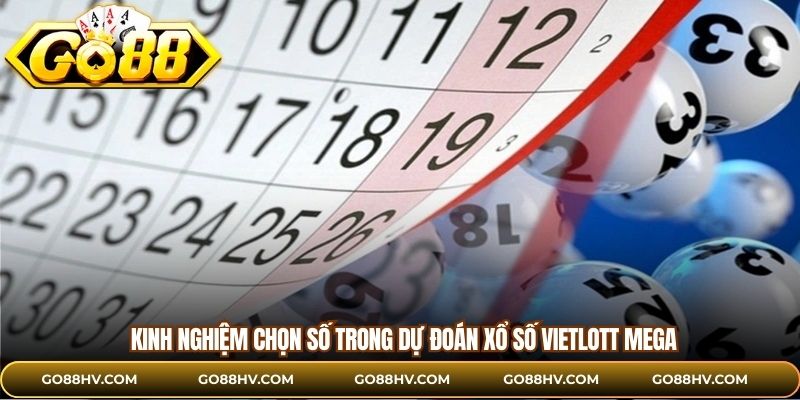 Kinh nghiệm chọn số trong dự đoán xổ số Vietlott Mega